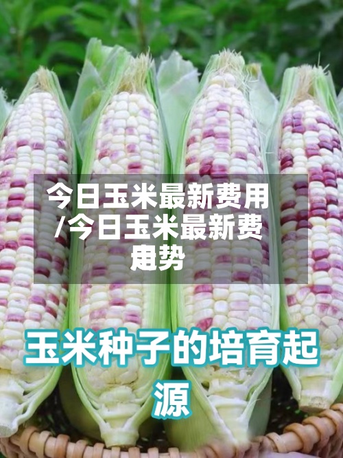 今日玉米最新费用
/今日玉米最新费用
走势-第3张图片