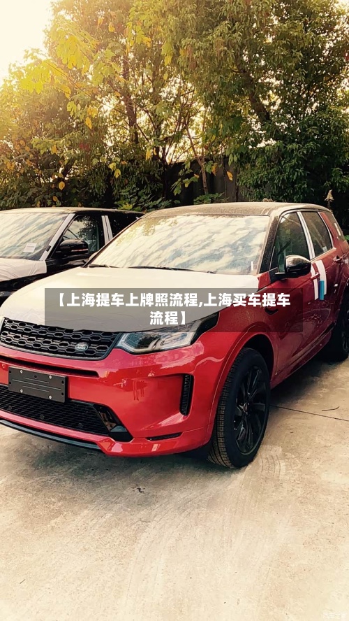 【上海提车上牌照流程,上海买车提车流程】-第2张图片