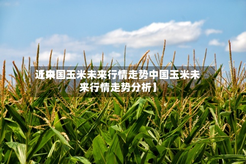 近来
【中国玉米未来行情走势中国玉米未来行情走势分析】-第2张图片