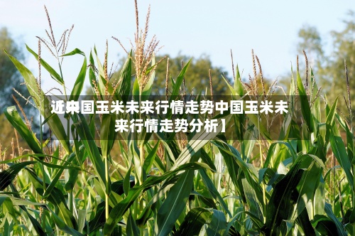 近来【中国玉米未来行情走势中国玉米未来行情走势分析】