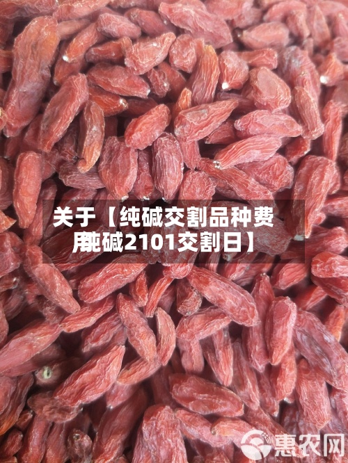 关于【纯碱交割品种费用
,纯碱2101交割日】