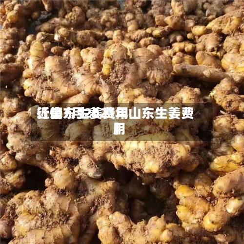近来
【山东生姜费用
行情7月2021年山东生姜费用
】