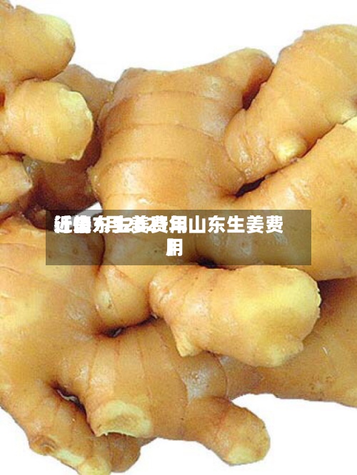 近来
【山东生姜费用
行情7月2021年山东生姜费用
】-第2张图片