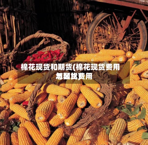 棉花现货和期货(棉花现货费用
与期货费用
怎么比)
