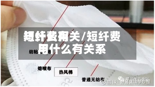 短纤费用
与什么有关/短纤费用
与什么有关系