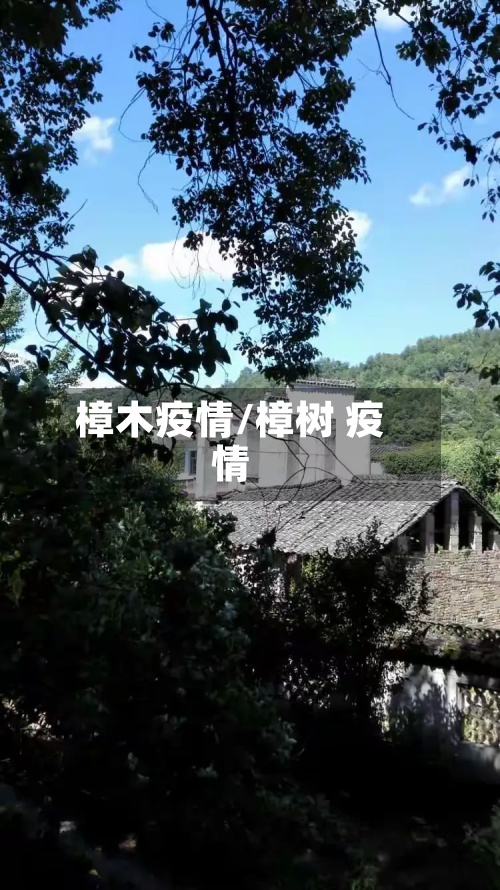 樟木疫情/樟树 疫情