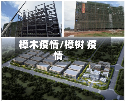 樟木疫情/樟树 疫情-第2张图片