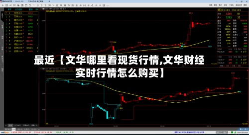 最近【文华哪里看现货行情,文华财经实时行情怎么购买】-第3张图片