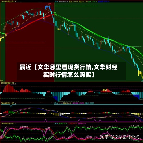 最近【文华哪里看现货行情,文华财经实时行情怎么购买】-第2张图片