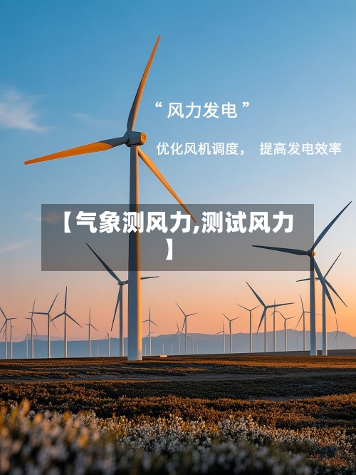 【气象测风力,测试风力】