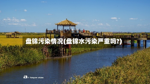 盘锦污染情况(盘锦水污染严重吗?)-第3张图片