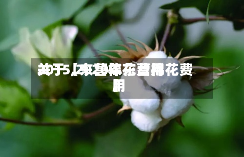 关于【东营棉花费用2015,2020年东营棉花费用】