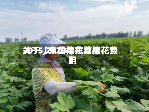 关于【东营棉花费用
2015,2020年东营棉花费用
】-第2张图片