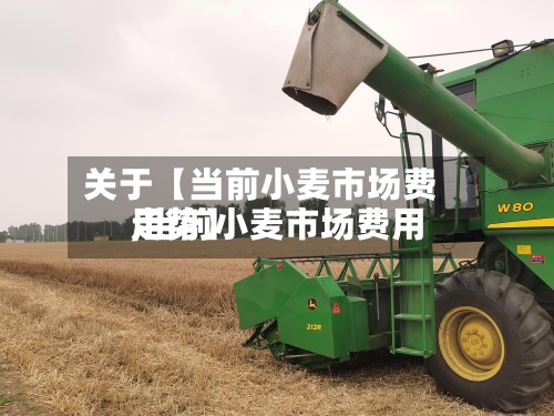 关于【当前小麦市场费用
,当前小麦市场费用
走势】-第2张图片