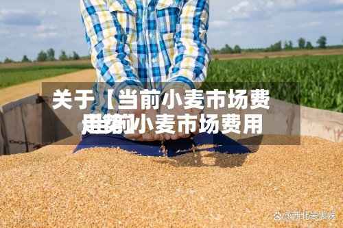 关于【当前小麦市场费用
,当前小麦市场费用
走势】
