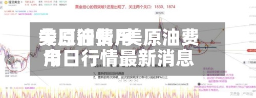 美原油费用
今日行情/美原油费用
今日行情最新消息