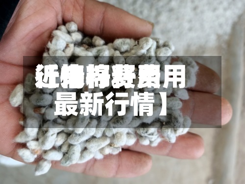近来【棉籽费用行情棉籽费用最新行情】-第2张图片