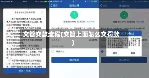 交管交款流程(交管上面怎么交罚款)