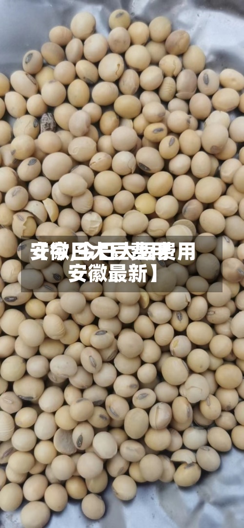 【今日大豆费用安徽,今日大豆费用安徽最新】-第2张图片