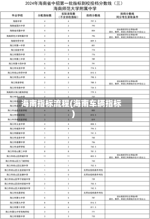 海南指标流程(海南车辆指标)