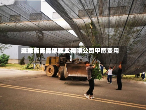 近来【陕西长青甲醇费用陕西长青能源化工有限公司甲醇费用】