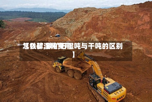 【铁矿湿吨费用
怎么算,铁矿石湿吨与干吨的区别】