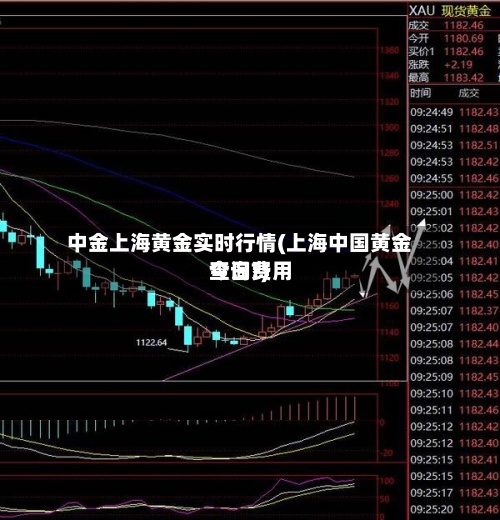 中金上海黄金实时行情(上海中国黄金今日费用查询?)