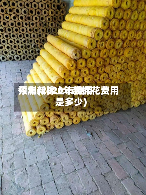 今年新棉上市费用预测(2020年新棉花费用是多少)-第3张图片