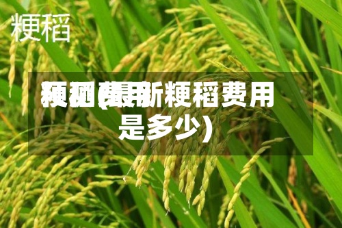 粳稻费用
预测(最新粳稻费用
是多少)-第2张图片