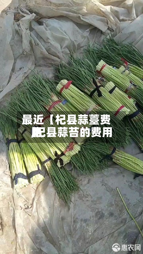 最近【杞县蒜薹费用,杞县蒜苔的费用】