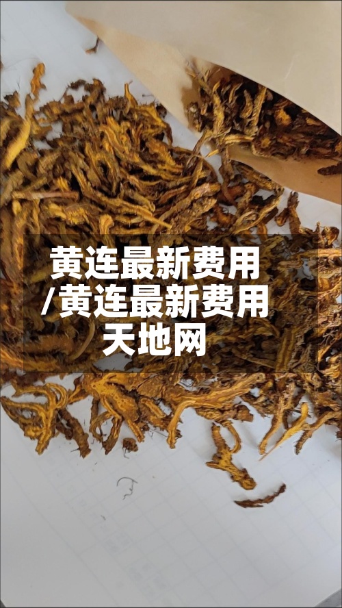 黄连最新费用/黄连最新费用天地网-第2张图片