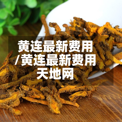 黄连最新费用
/黄连最新费用
天地网