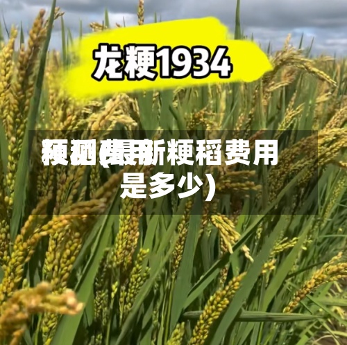 粳稻费用预测(最新粳稻费用是多少)