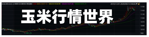 玉米行情世界(世界玉米费用走势图)