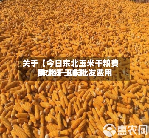 关于【今日东北玉米干粮费用,东北干玉米批发费用多少钱一吨】-第2张图片