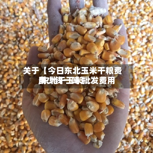关于【今日东北玉米干粮费用,东北干玉米批发费用多少钱一吨】-第3张图片