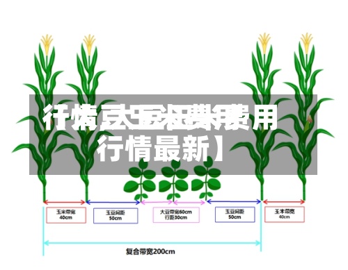 【大豆玉米费用
行情,大豆玉米费用
行情最新】-第2张图片