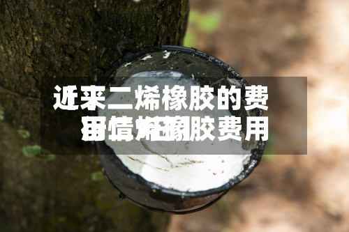 近来
【丁二烯橡胶的费用
丁二烯橡胶费用
行情7日】