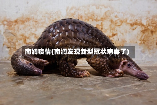 南涧疫情(南涧发现新型冠状病毒了)