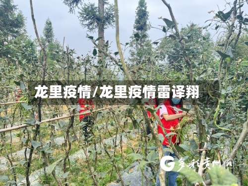 龙里疫情/龙里疫情雷译翔-第2张图片