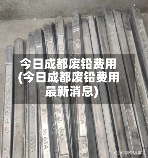 今日成都废铅费用(今日成都废铅费用最新消息)-第2张图片