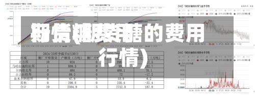 期货糖费用行情(期货糖的费用行情)