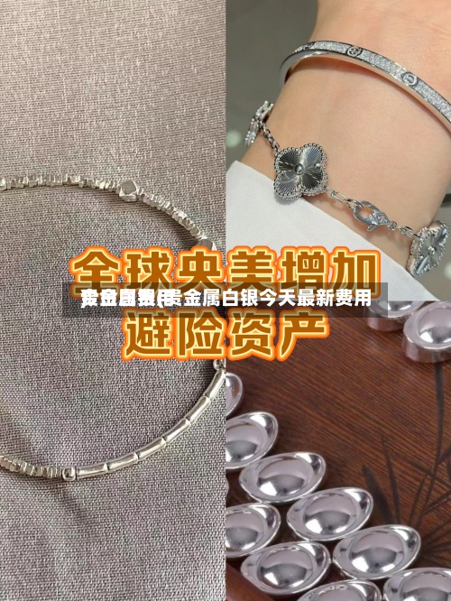 贵金属费用
今日白银(贵金属白银今天最新费用
)-第2张图片