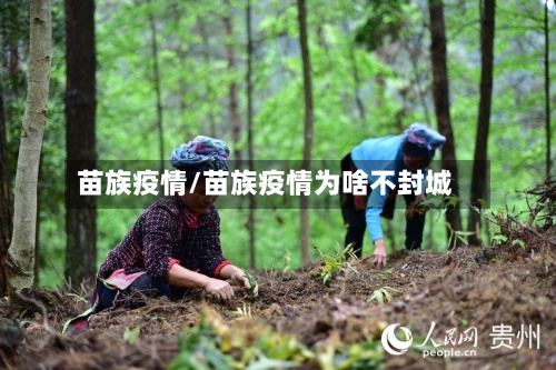 苗族疫情/苗族疫情为啥不封城
