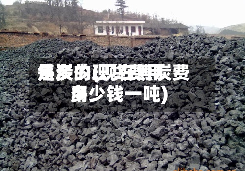 焦炭的现货费用
是多少(现在焦炭费用
多少钱一吨)