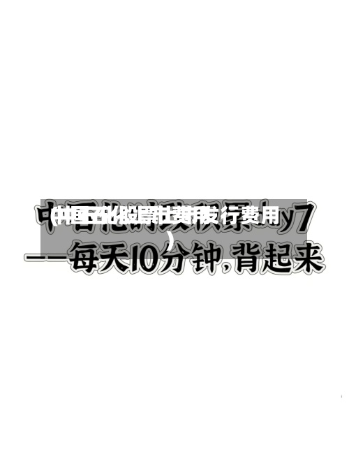 中国石化上市费用(中石化股票上市发行费用)-第2张图片