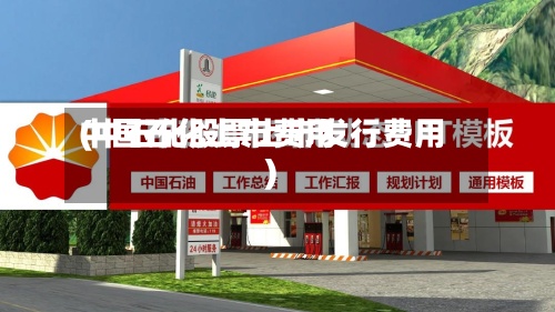 中国石化上市费用(中石化股票上市发行费用)