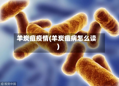 羊炭疽疫情(羊炭疽病怎么读)-第2张图片