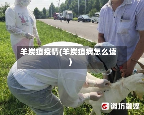 羊炭疽疫情(羊炭疽病怎么读)