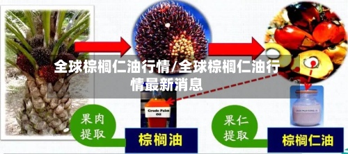 全球棕榈仁油行情/全球棕榈仁油行情最新消息